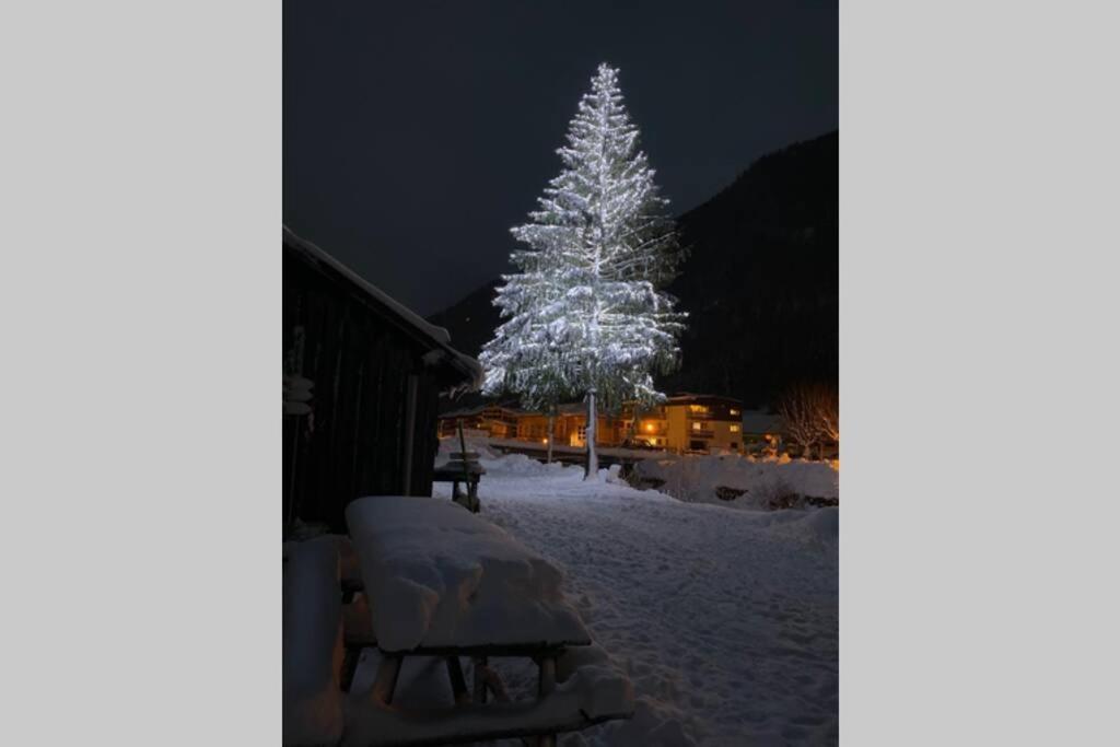 Apartment Large Premium Alpine For 4 To 8 People *